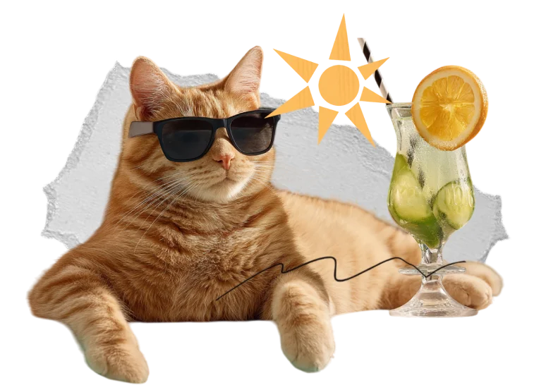 cipp-e summer